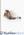 Слипоны Steve Madden арт. 33-7416